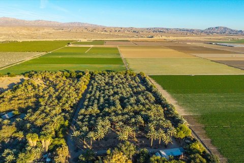 49300 Polk Street, Coachella, CA 92236 photo 8