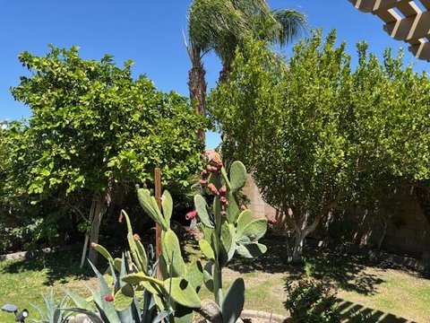 984 Tierra Lane, Palm Springs, CA 92262 photo 11