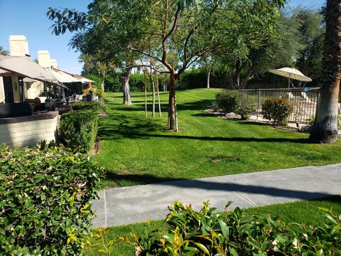 329 S Sierra Madre S, Palm Desert, CA 92260 photo 39