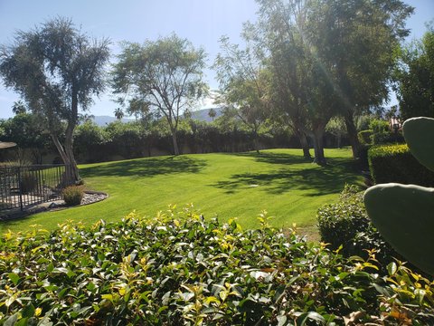 329 S Sierra Madre S, Palm Desert, CA 92260 photo 45