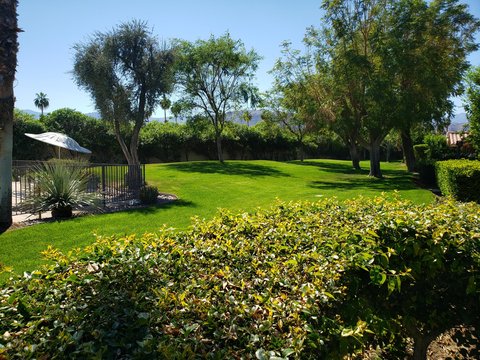 329 S Sierra Madre S, Palm Desert, CA 92260 photo 46