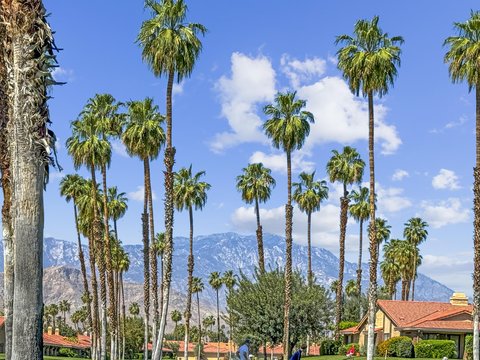 89 Camino Arroyo S, Palm Desert, CA 92260 photo 31