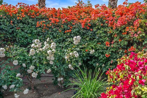 79140 Jack Rabbit Trail, La Quinta, CA 92253 photo 45