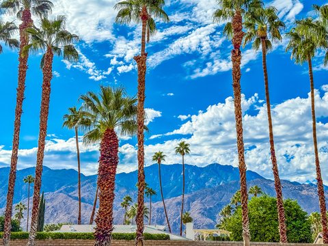 2701 E Mesquite Avenue, Z136, Palm Springs, CA 92264 photo 25