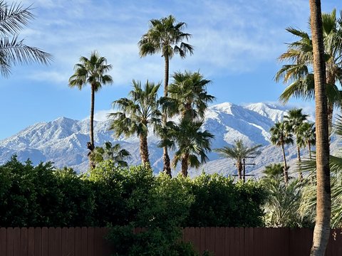 835 N Farrell Drive, Palm Springs, CA 92262 photo 2