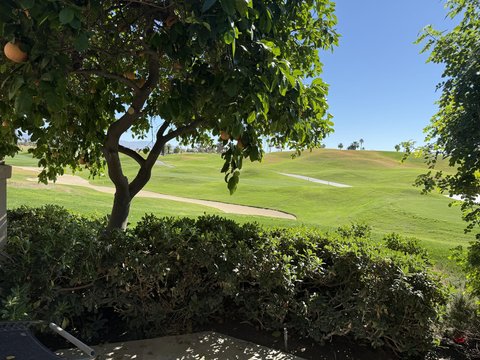 54446 Oaktree, La Quinta, CA 92253 photo 3