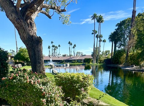 343 Bouquet Canyon Drive, Palm Desert, CA 92211 photo 1