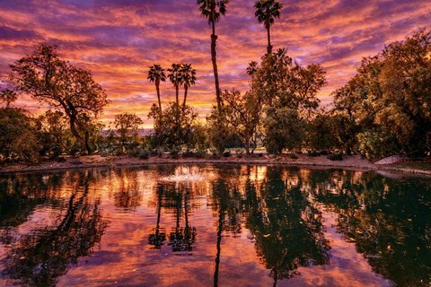 343 Bouquet Canyon Drive, Palm Desert, CA 92211 photo 31