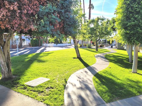 295 Butterfield, Cathedral City, CA 92234 photo 15