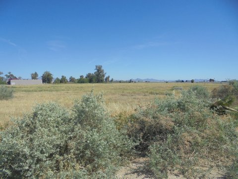 1800 W Hobsonway, Blythe, CA 92225 photo 2