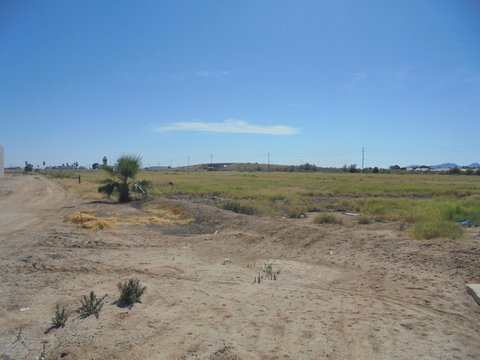 1800 W Hobsonway, Blythe, CA 92225 photo 4