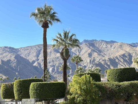 291 E Mel Avenue E, 200, Palm Springs, CA 92262 photo 18