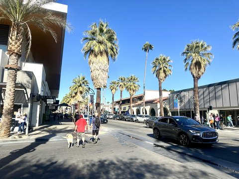 291 E Mel Avenue E, 200, Palm Springs, CA 92262 photo 39