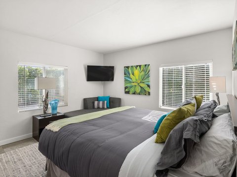 821 S Avenida Evelita, Palm Springs, CA 92264 photo 30