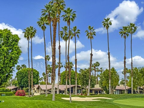 158 Running Springs Drive, Palm Desert, CA 92211 photo 35