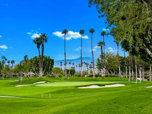 158 Running Springs Drive, Palm Desert, CA 92211 photo 37