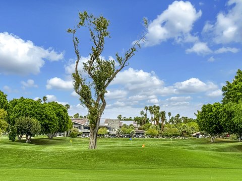 158 Running Springs Drive, Palm Desert, CA 92211 photo 38
