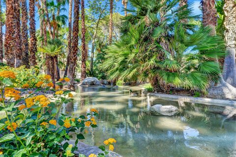 360 Cabrillo Road, 103, Palm Springs, CA 92262 photo 48