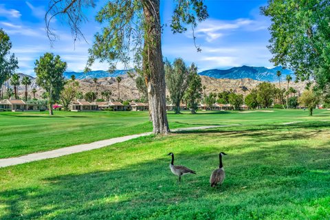 7641 Calle Mazamitla, Palm Springs, CA 92264 photo 53