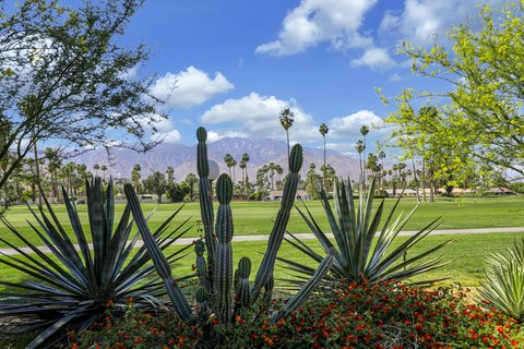 2417 Los Patos Drive, Palm Springs, CA 92264 photo 28