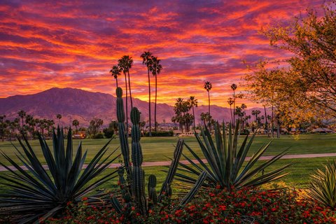 2417 Los Patos Drive, Palm Springs, CA 92264 photo 39
