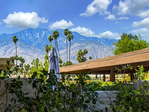 2417 Los Patos Drive, Palm Springs, CA 92264 photo 5