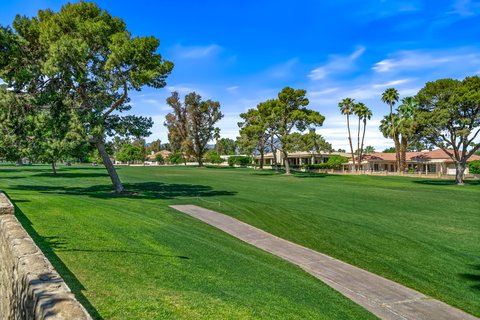 38651 Nyasa Drive, Palm Desert, CA 92211 photo 61
