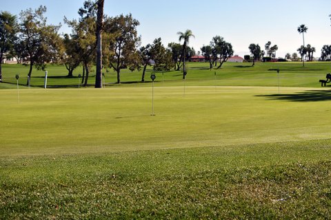 38668 Fawn Springs Drive, Palm Desert, CA 92260 photo 40