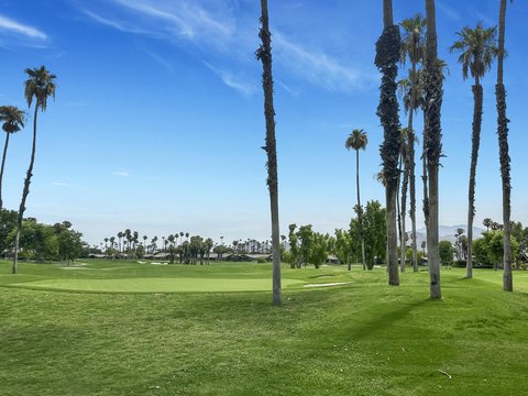 317 Bouquet Canyon Drive, Palm Desert, CA 92211 photo 24