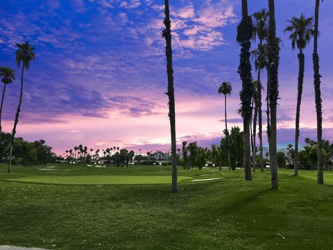 317 Bouquet Canyon Drive, Palm Desert, CA 92211 photo 25
