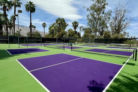 1332 S Beverly Drive, Palm Springs, CA 92264 photo 47