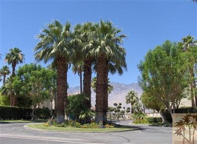 32505 Candlewood Drive, 27, Cathedral City, CA 92234