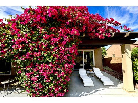 43305 Arizona Street, Palm Desert, CA 92211 photo 5