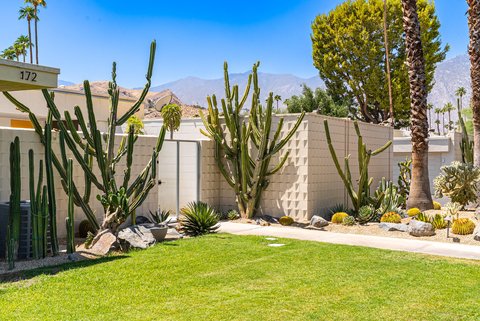 172 Desert Lakes Drive, Palm Springs, CA 92264 photo 3