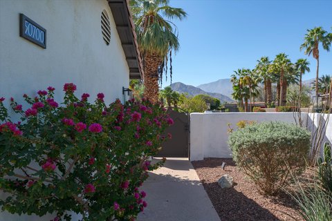50700 Calle Paloma, La Quinta, CA 92253 photo 5