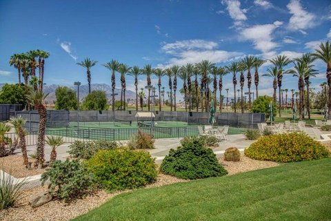 474 Evergreen Ash, Palm Desert, CA 92211 photo 31