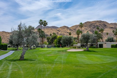 14 Lakeview Circle, Palm Springs, CA 92264 photo 29