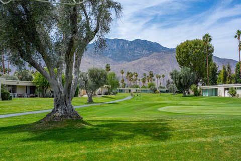 14 Lakeview Circle, Palm Springs, CA 92264 photo 32