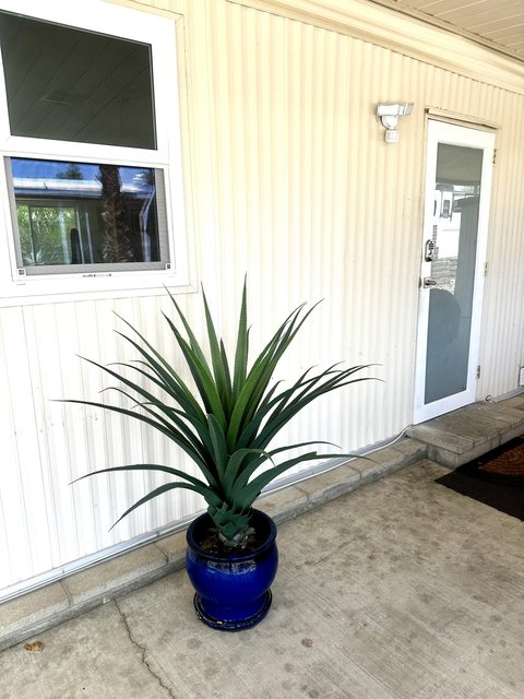 10 VíA Valverde, Cathedral City, CA 92234 photo 15