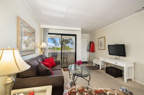 675 N Los Felices Circle W, 204, Palm Springs, CA 92262 photo 15