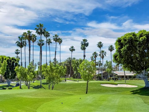 293 Bouquet Canyon Drive, Palm Desert, CA 92211 photo 30