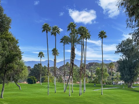 46330 Dove Road, Indian Wells, CA 92210 photo 50