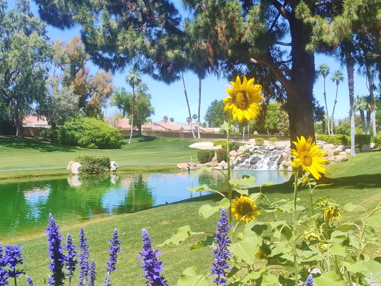 41715 Woodhaven Drive W, Palm Desert, CA 92211
