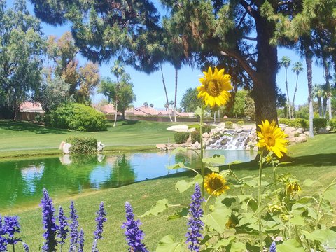 41715 Woodhaven Drive W, Palm Desert, CA 92211 photo 1