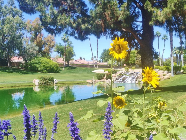 41715 Woodhaven Drive W, Palm Desert, CA 92211