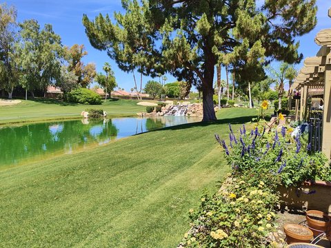 41715 Woodhaven Drive W, Palm Desert, CA 92211 photo 12