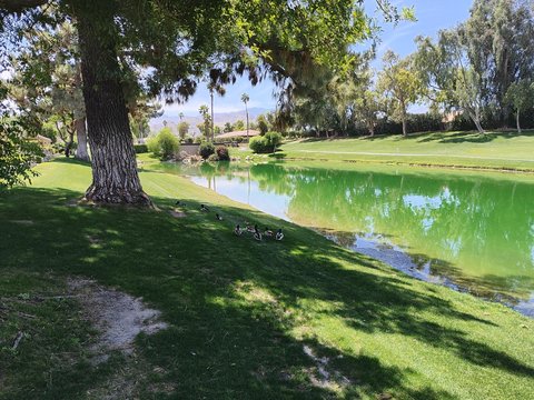 41715 Woodhaven Drive W, Palm Desert, CA 92211 photo 16