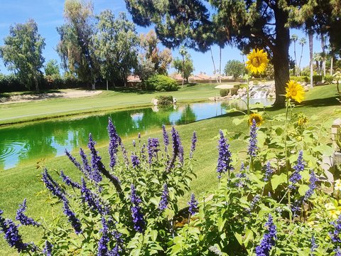 41715 Woodhaven Drive W, Palm Desert, CA 92211 photo 18