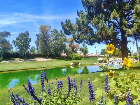 41715 Woodhaven Drive W, Palm Desert, CA 92211 photo 20