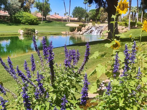 41715 Woodhaven Drive W, Palm Desert, CA 92211 photo 21